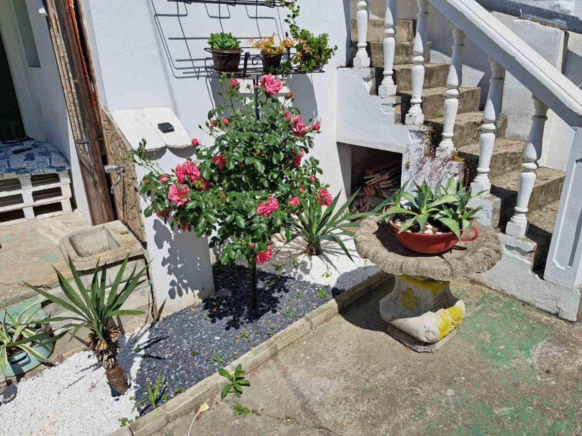 Stefan Apartman Novi Sad Esterno foto