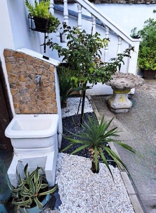 Stefan Apartman Novi Sad Esterno foto