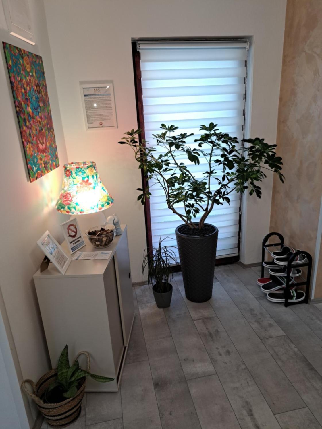 Stefan Apartman Novi Sad Esterno foto